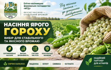 Насіння ярого гороху - сорти та репродукції