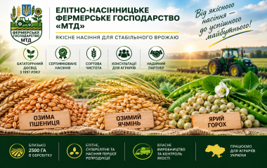 Елітне насіння пшениці, ячменю та гороху - МТД