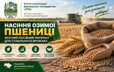 Насіння озимої пшениці - купити від виробника
