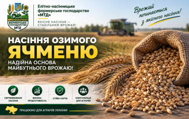 Посівне насіння озимого ячменю від виробника