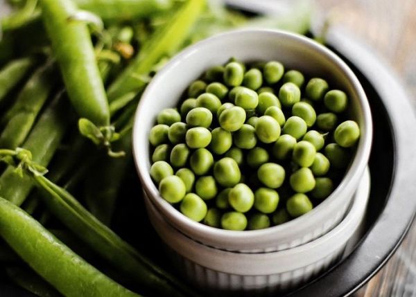 Насіння ярого гороху Остінато перша репродукція